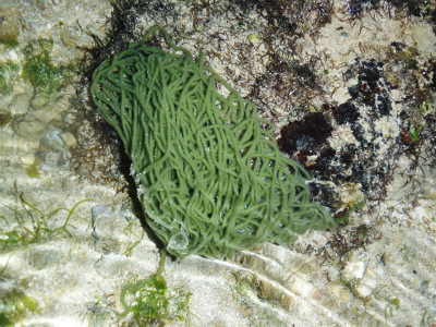 c0180460_23464139.jpg