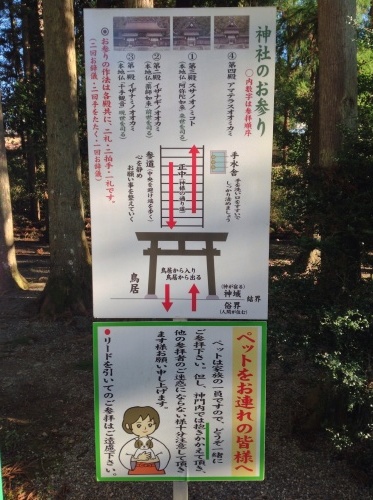 熊野初詣  2015 続き_b0153663_18545667.jpg