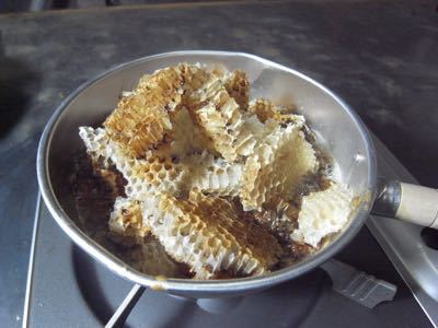f0297568_13595.jpg
