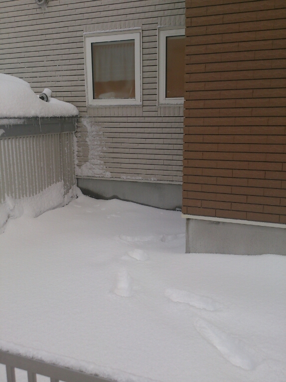 c0311170_963497.jpg