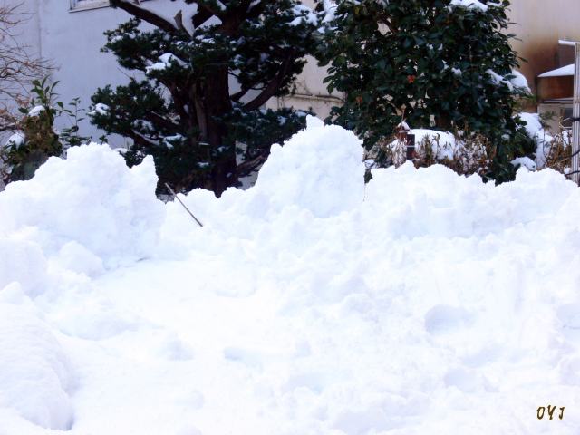 重たい雪どっさり！？_f0166871_14522868.jpg