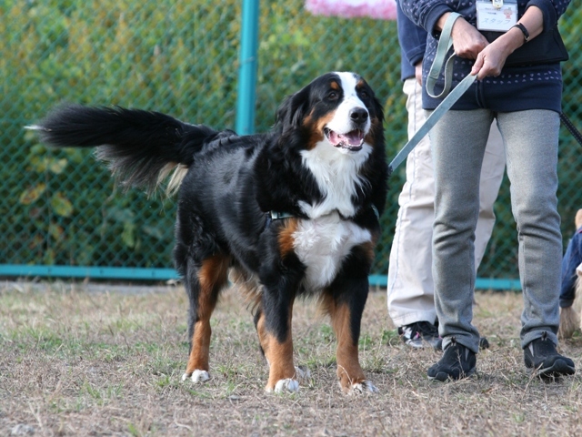 c0345972_01420136.jpg