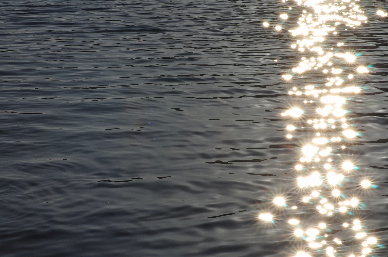 c0176183_1737543.jpg