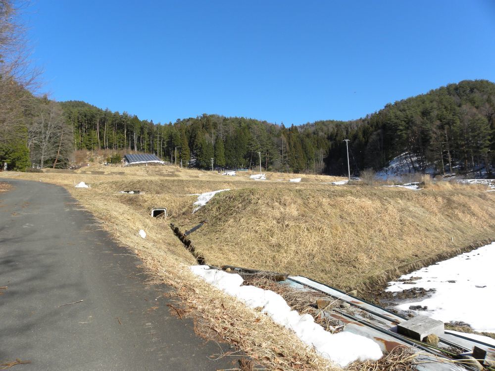 今日の諏訪湖とフキノトウ見っけ・・・_b0329588_15450714.jpg