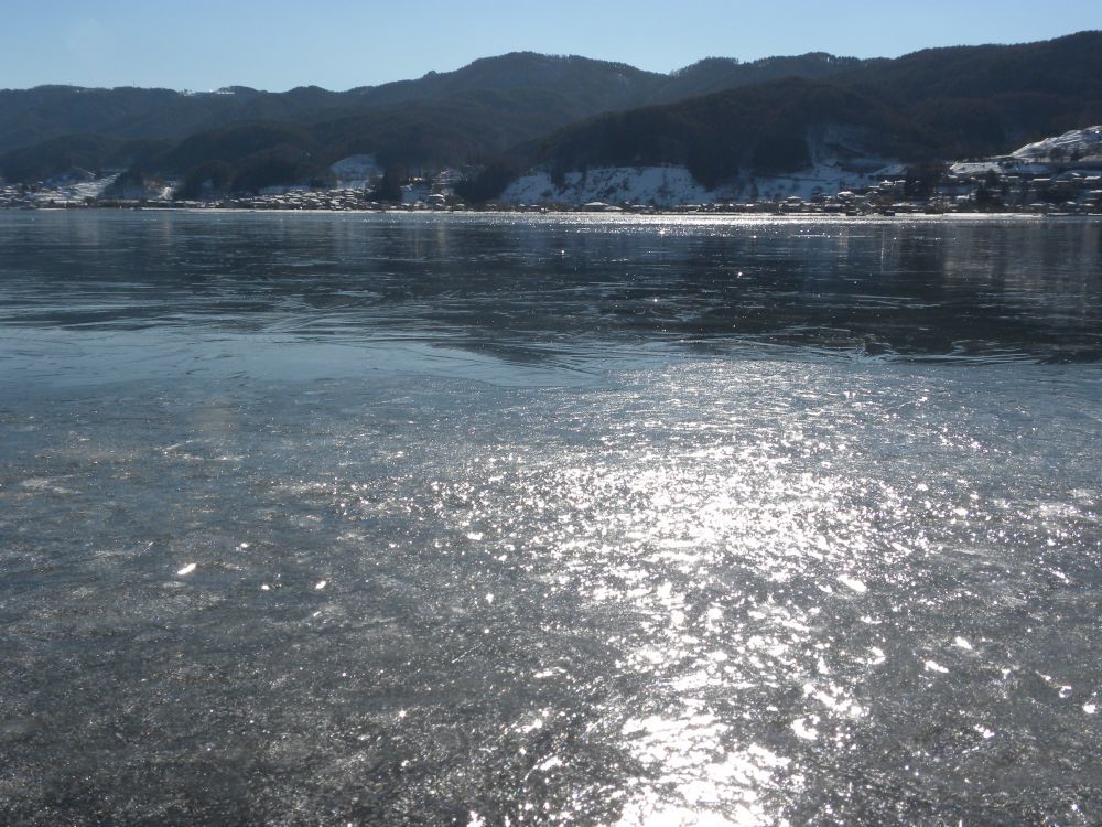 今日の諏訪湖とフキノトウ見っけ・・・_b0329588_16005355.jpg