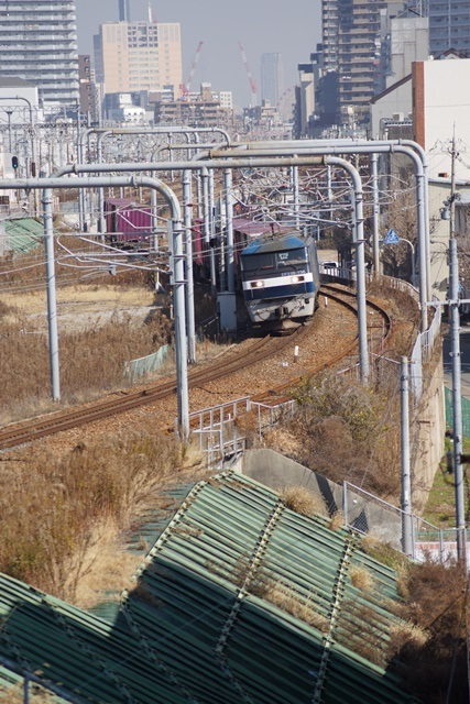 d0181492_1717264.jpg