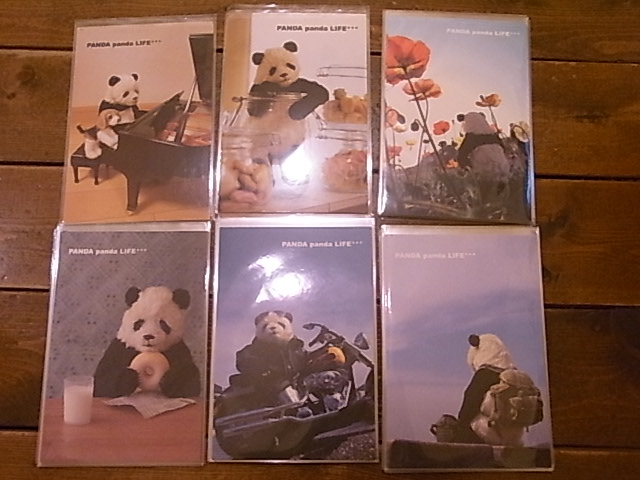年越しパンダ展あと4日。新作到着と福袋追加到着です_d0322493_11412592.jpg