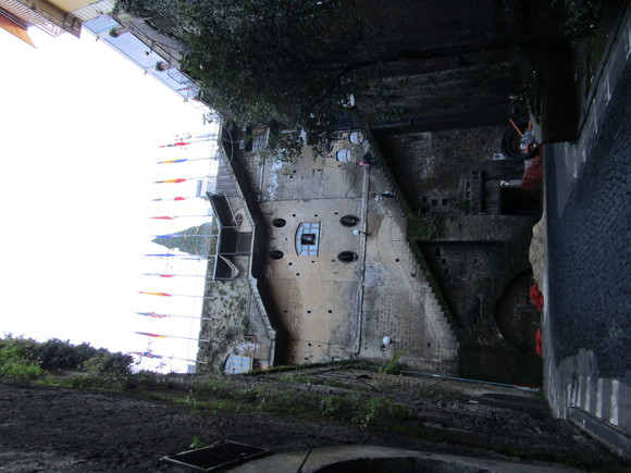 e0229993_86783.jpg