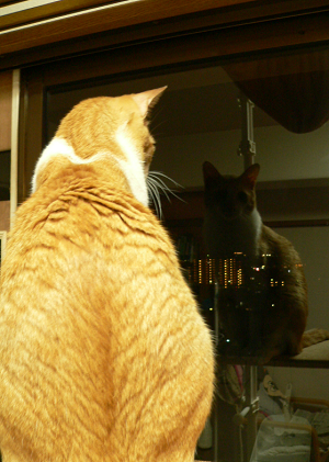 a0333195_21474037.png