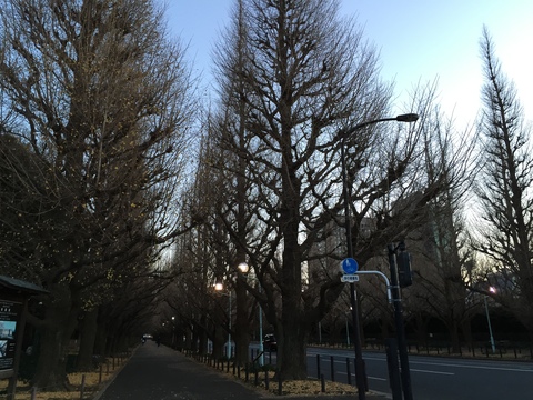 d0054704_1181945.jpg