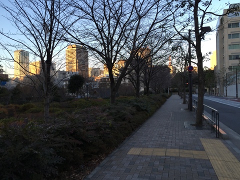 d0054704_1492560.jpg
