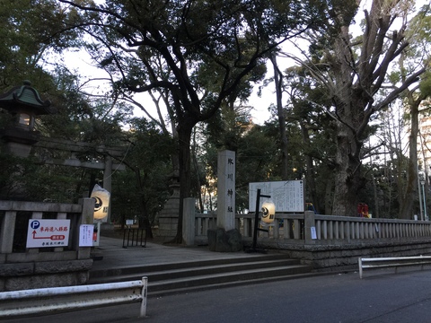 d0054704_264044.jpg