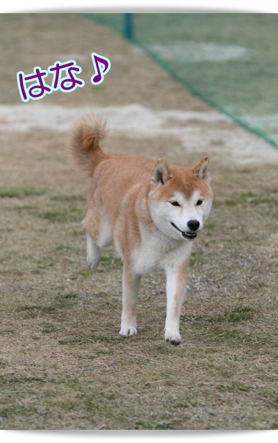 e0100007_857296.jpg