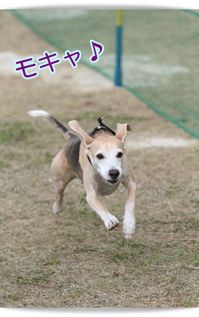 e0100007_858269.jpg