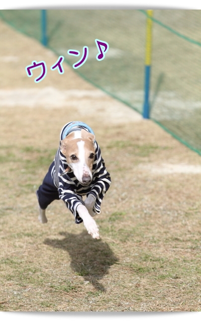 e0100007_8591268.jpg