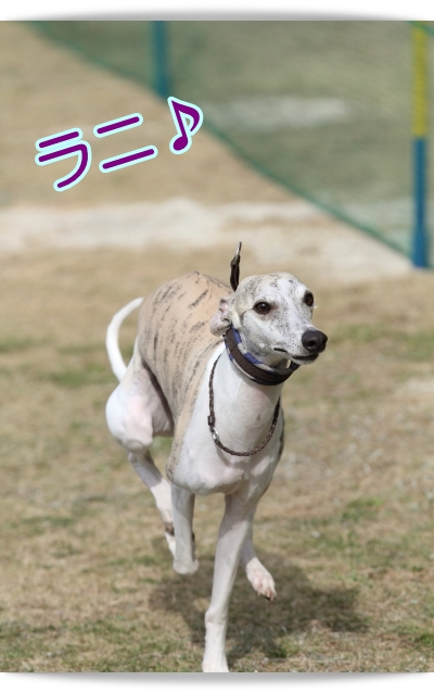 e0100007_8592141.jpg