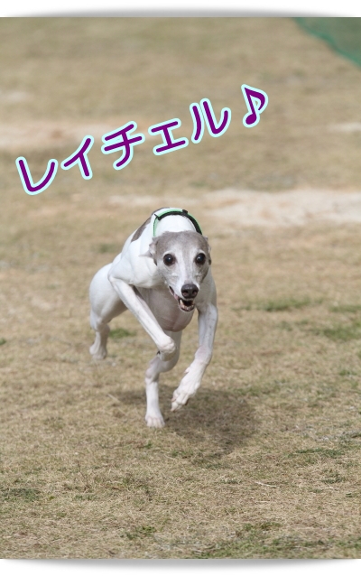 e0100007_859338.jpg