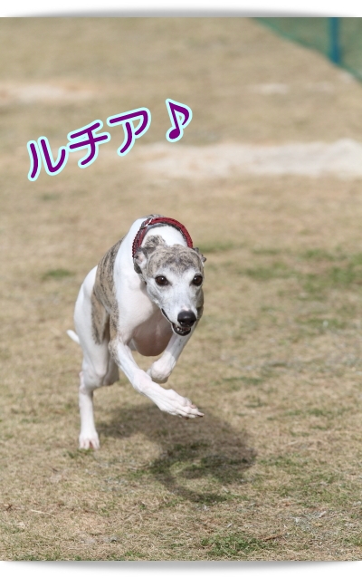 e0100007_8594345.jpg