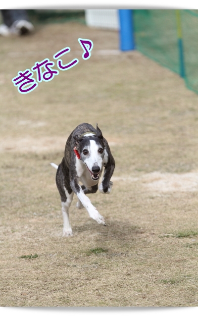 e0100007_905531.jpg