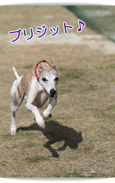e0100007_922154.jpg
