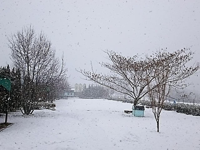 d0148408_10283340.jpg