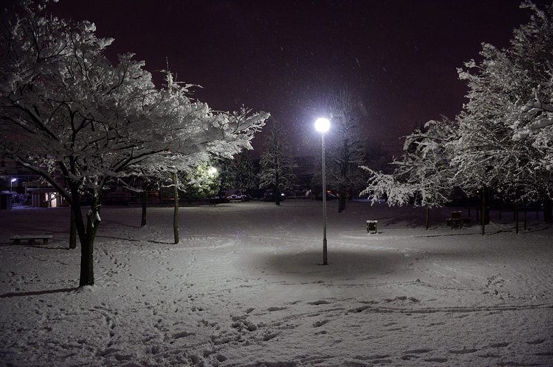 町角寸景・大雪の夜 其の二_f0032011_18573231.jpg