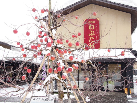 b0147224_1825180.jpg