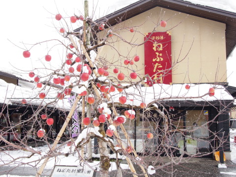 雪見りんご：津軽藩ねぷた村（弘前市）_b0147224_1825180.jpg