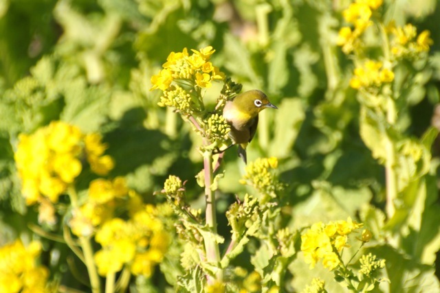 f0348831_23073649.jpg