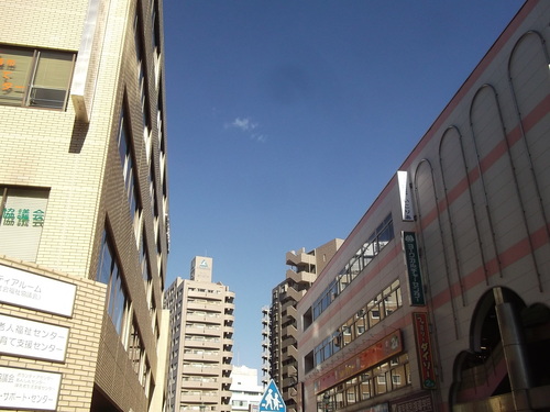 湘南茅ヶ崎ラーメン祭り!_b0137932_13302258.jpg