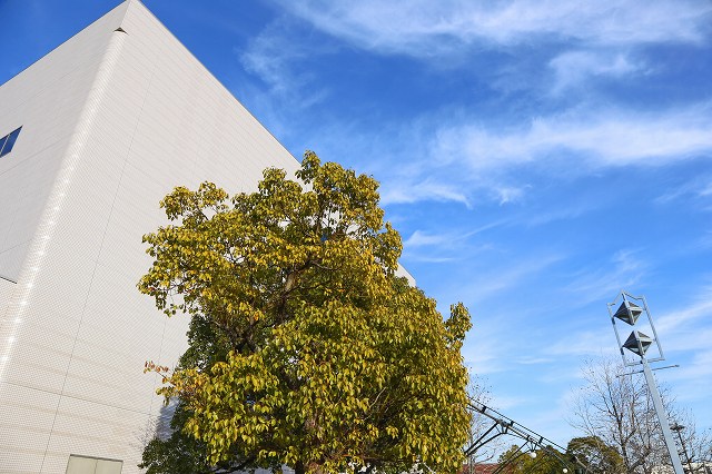 a0242438_18202856.jpg