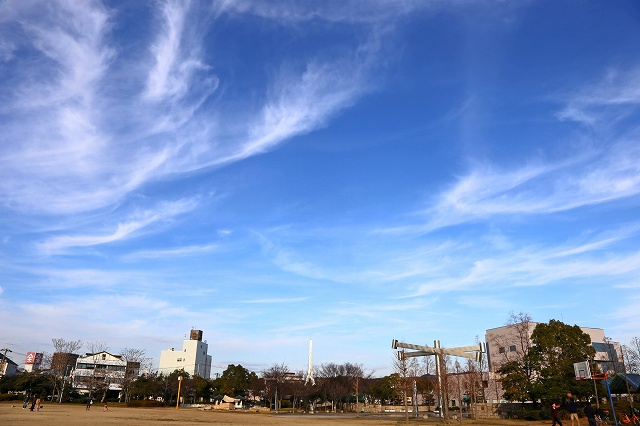 a0242438_18204540.jpg