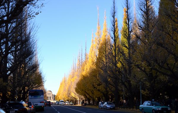 e0098241_91353.jpg