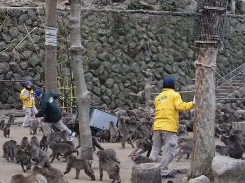 高崎山自然動物園_b0199742_20231081.jpg