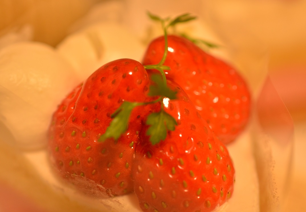 a0055650_2046525.jpg