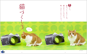 最新号　カメラ日和vol.59 「猫づくし３」発売！_b0043961_1556385.jpg
