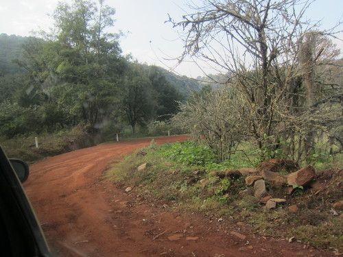 Mexico-7._c0153966_16424823.jpg