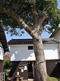 c0229483_21192620.jpg