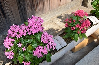c0229483_21493328.jpg