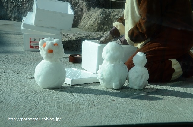 ２０１４年１２月　ほぼ毎月とくしま動物園　その３ ポロロにクリスマスイベント_a0052986_23514167.jpg