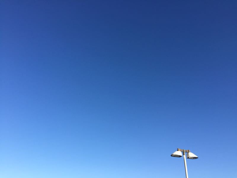 d0135694_1339975.jpg