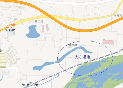 a0140305_0405441.jpg