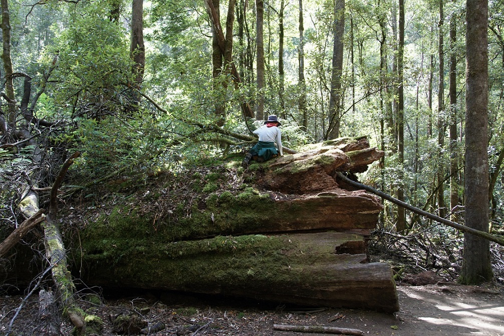 b0112909_11245338.jpg