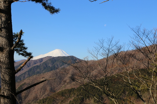 やっとこ富士山、丹沢・塔ノ岳（大倉からピストン）_f0296109_4271963.jpg