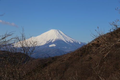 やっとこ富士山、丹沢・塔ノ岳（大倉からピストン）_f0296109_4295322.jpg