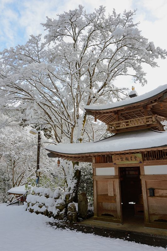 2015京の雪景色@愛宕念仏寺_f0032011_20175953.jpg