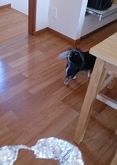 c0315313_16090981.jpg