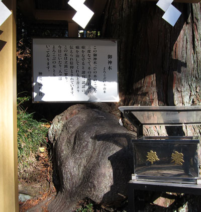 女子大生ＣＨＩＥちゃんおすすめ神場山神社に　参拝_b0199522_176840.jpg