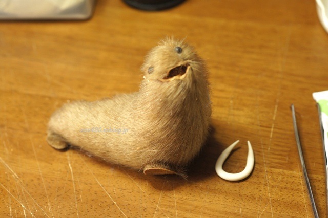 セイウチぬいぐるみの中身 標高480mの窓から セイウチぬいぐるみの中身 標高480mの窓から
