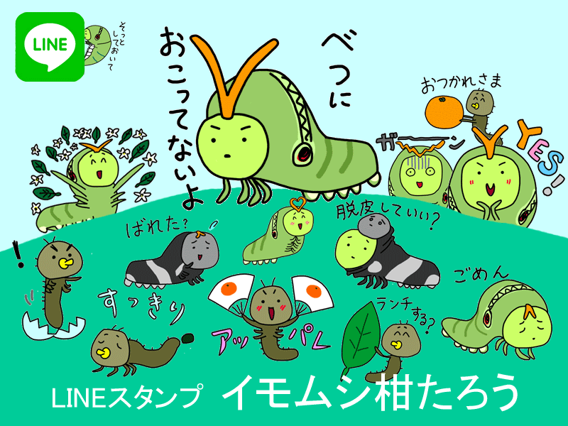 LINEスタンプ「イモムシ柑たろう」只今審査中です！_b0025023_1004673.gif